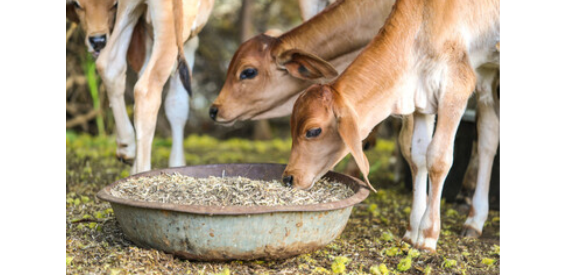 Untitled design (20)