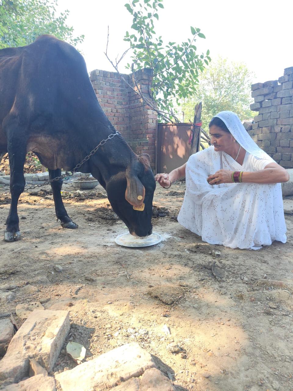 WhatsApp Image 2024-10-07 at 9.35.30 PM (1)