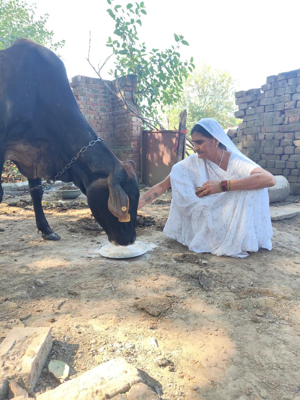 WhatsApp Image 2024-10-07 at 9.35.31 PM (1)