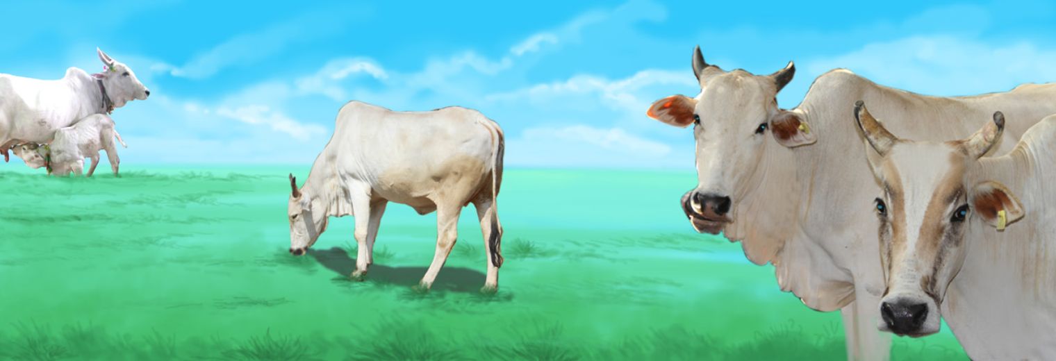 vasudhaiva kutumbakam banner