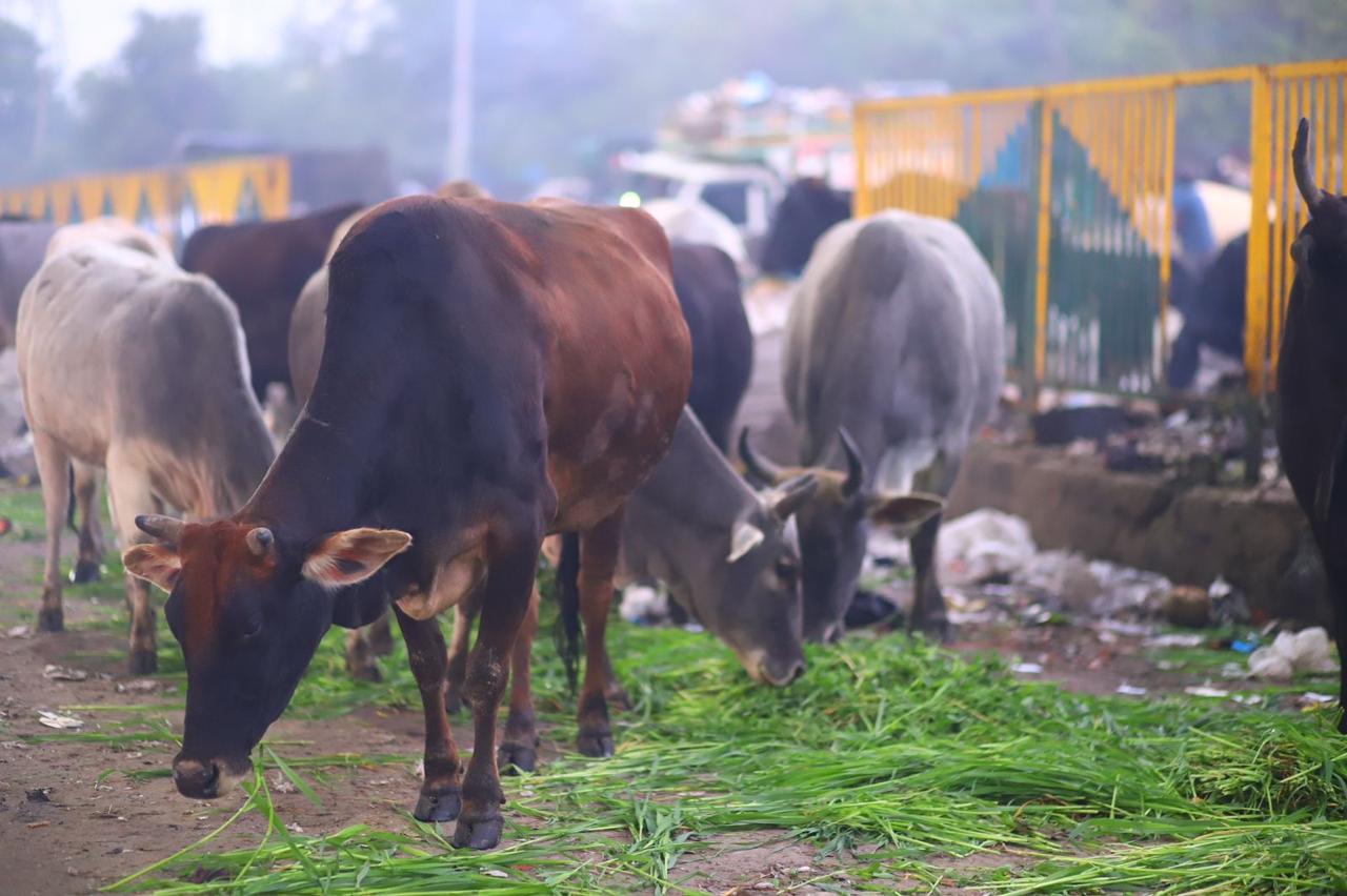 WhatsApp Image 2025-01-23 at 3.32.12 PM (1)