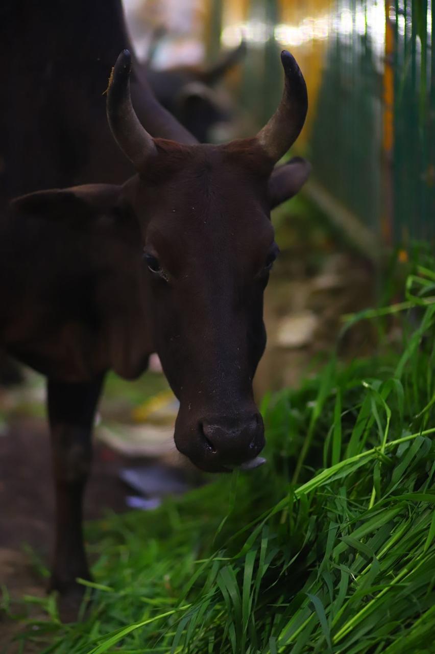 WhatsApp Image 2025-01-23 at 3.32.12 PM (2)