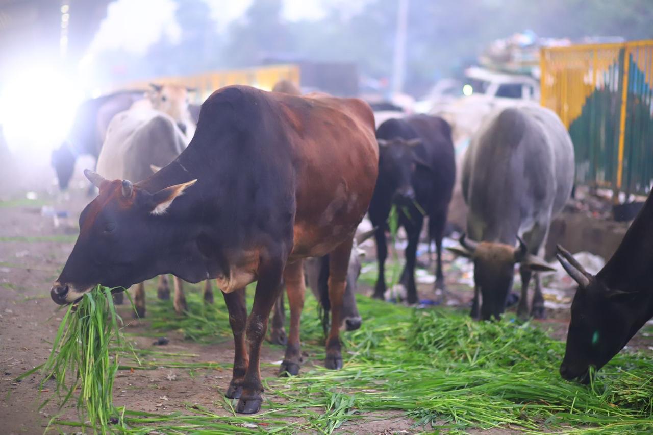 WhatsApp Image 2025-01-23 at 3.32.12 PM (3)