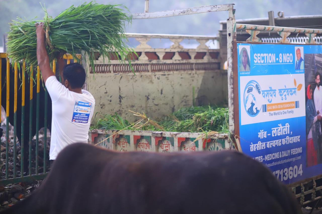 WhatsApp Image 2025-01-23 at 3.32.12 PM (4)