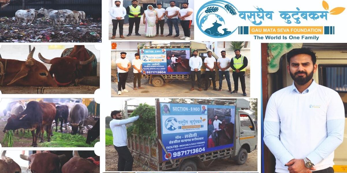 WhatsApp Image 2025-01-23 at 3.32.12 PM (6)