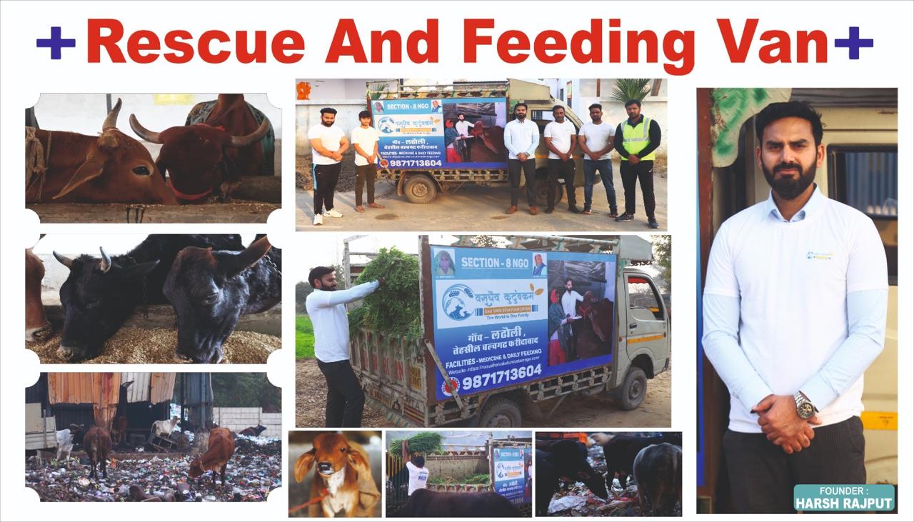 WhatsApp Image 2025-01-23 at 3.32.12 PM (7)